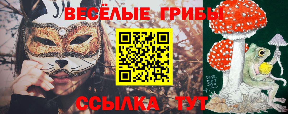 Подольск  Псилоцибиновые грибы мухоморы  Галлюциногенные грибы Psilocybe  Вход с VPN 
